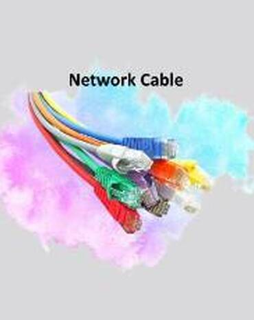 Network Cable